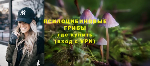 MESCALINE Горняк